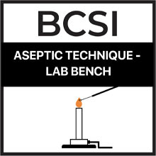 ASEPTIC TECHNIQUE - Lab Bench